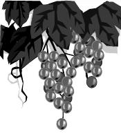 Grapes