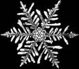 Snowflake
