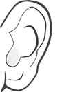 Ear