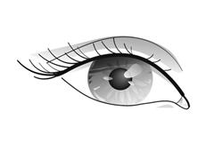Eye