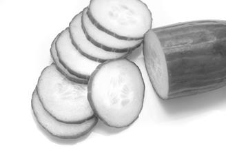 Cucumber