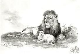 Lion and cub